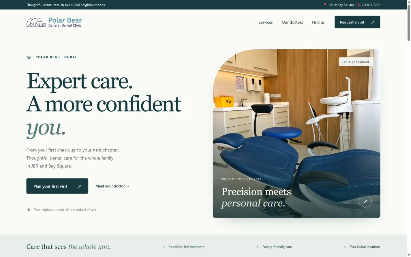 Polar Bear Dental prototype desktop screenshot